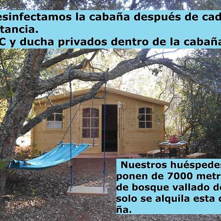 La Cabana Del Alcornoque Córdoba Exteriér fotografie