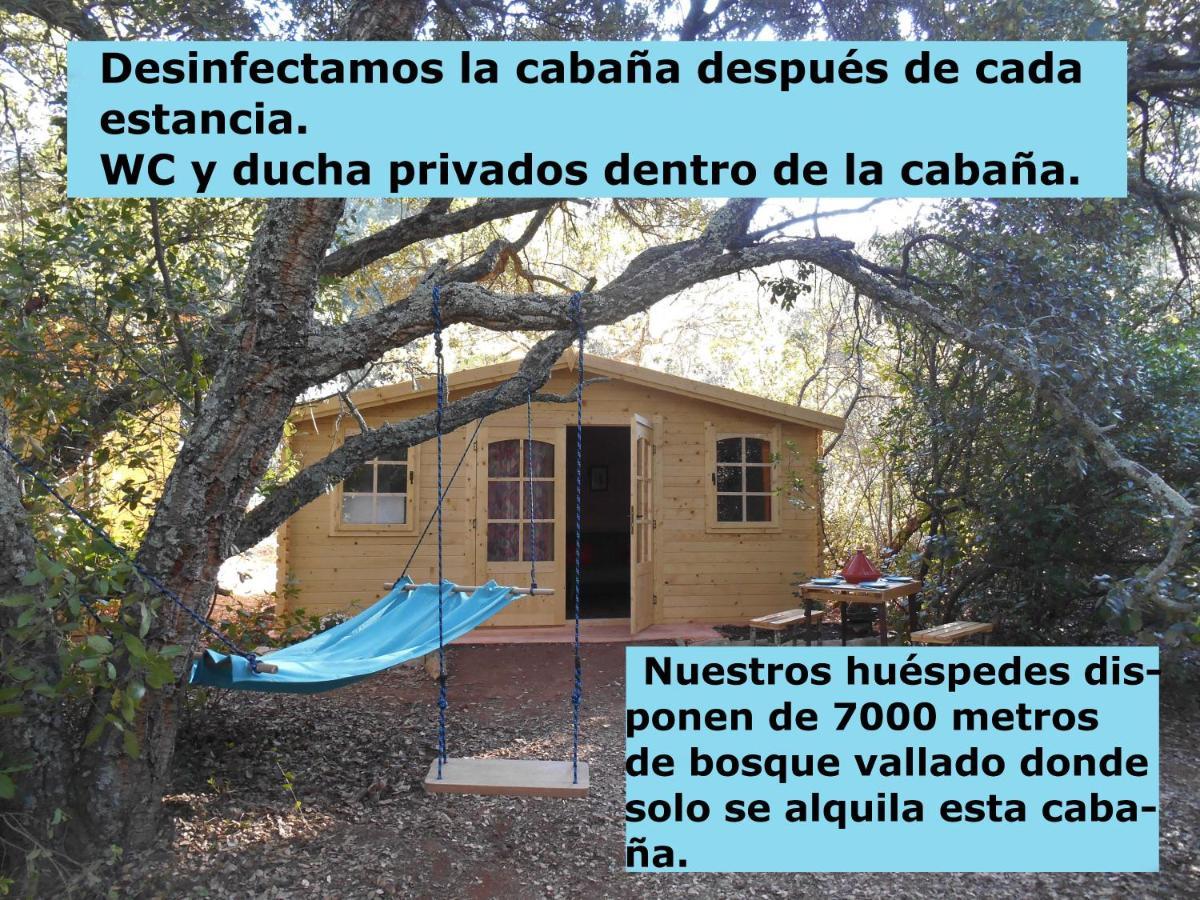 La Cabana Del Alcornoque Córdoba Exteriér fotografie