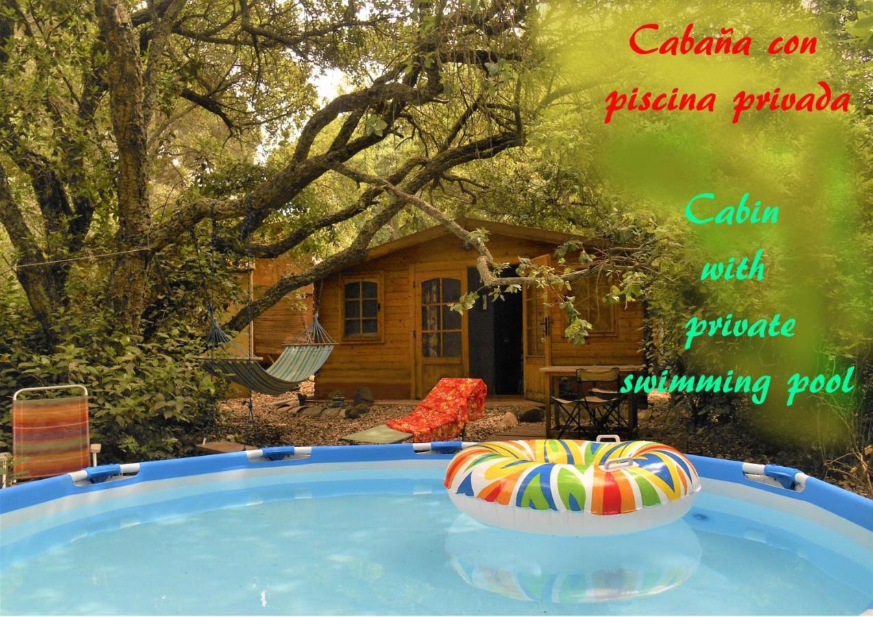 La Cabana Del Alcornoque Córdoba Exteriér fotografie